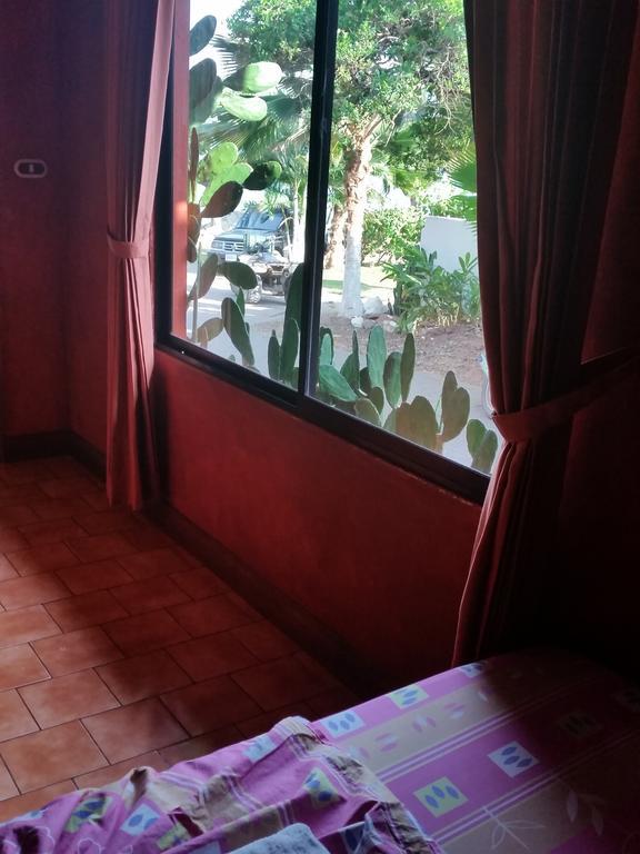 Hotel Cabinas Mar Y Cielo Montezuma Bilik gambar
